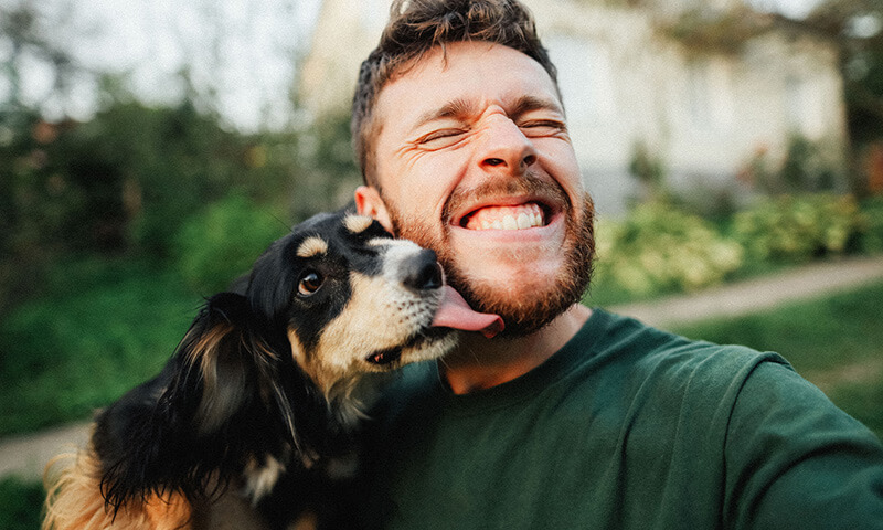 Dog licking owner